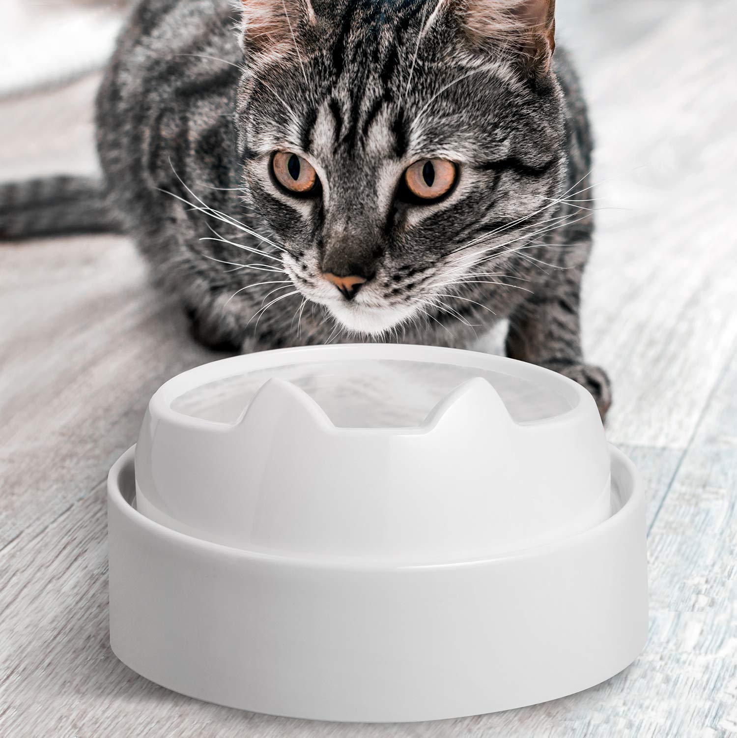 Estructura resistente de CatGuru para gatos de distintos tamaños
