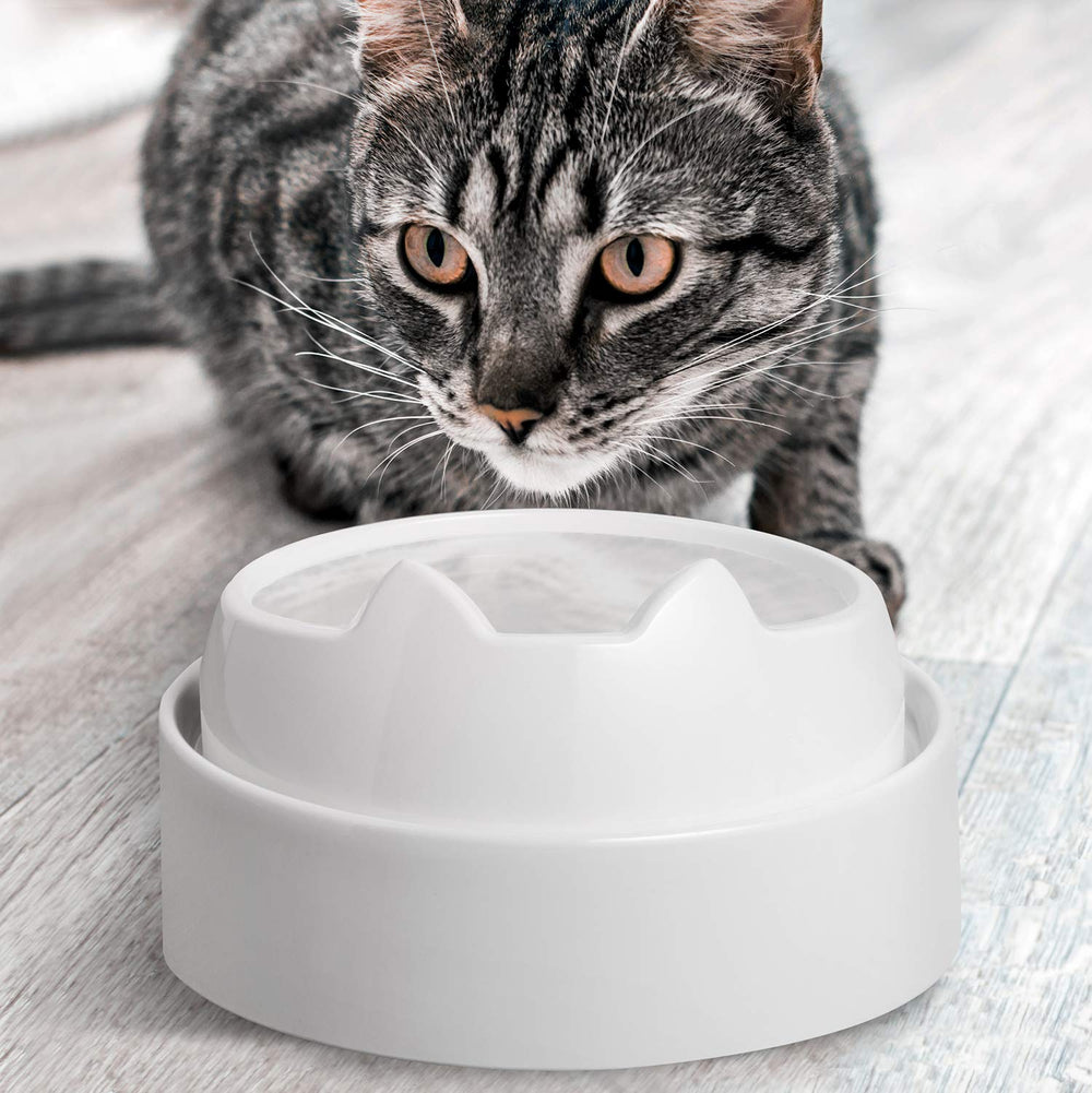 Estructura resistente de CatGuru para gatos de distintos tamaños