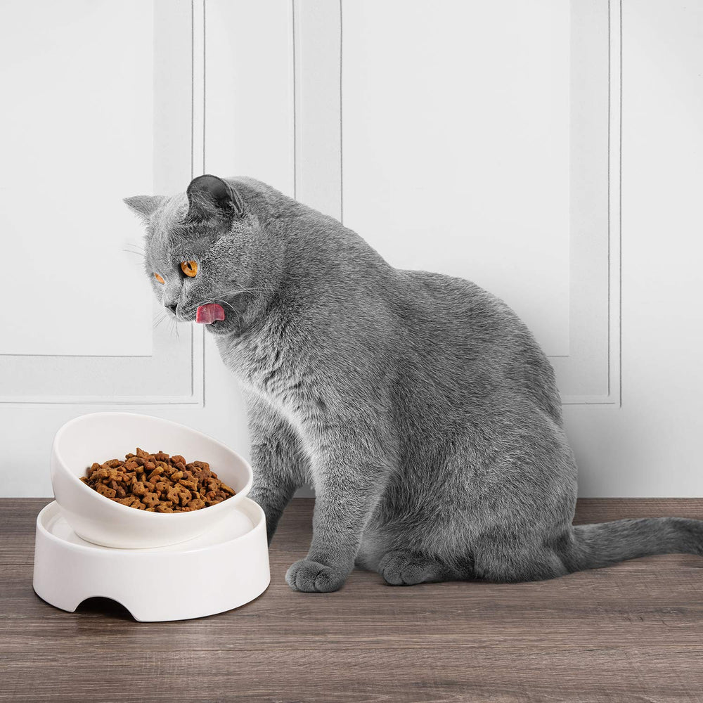 CatGuru evita derrames de alimento gracias a la elevación estable