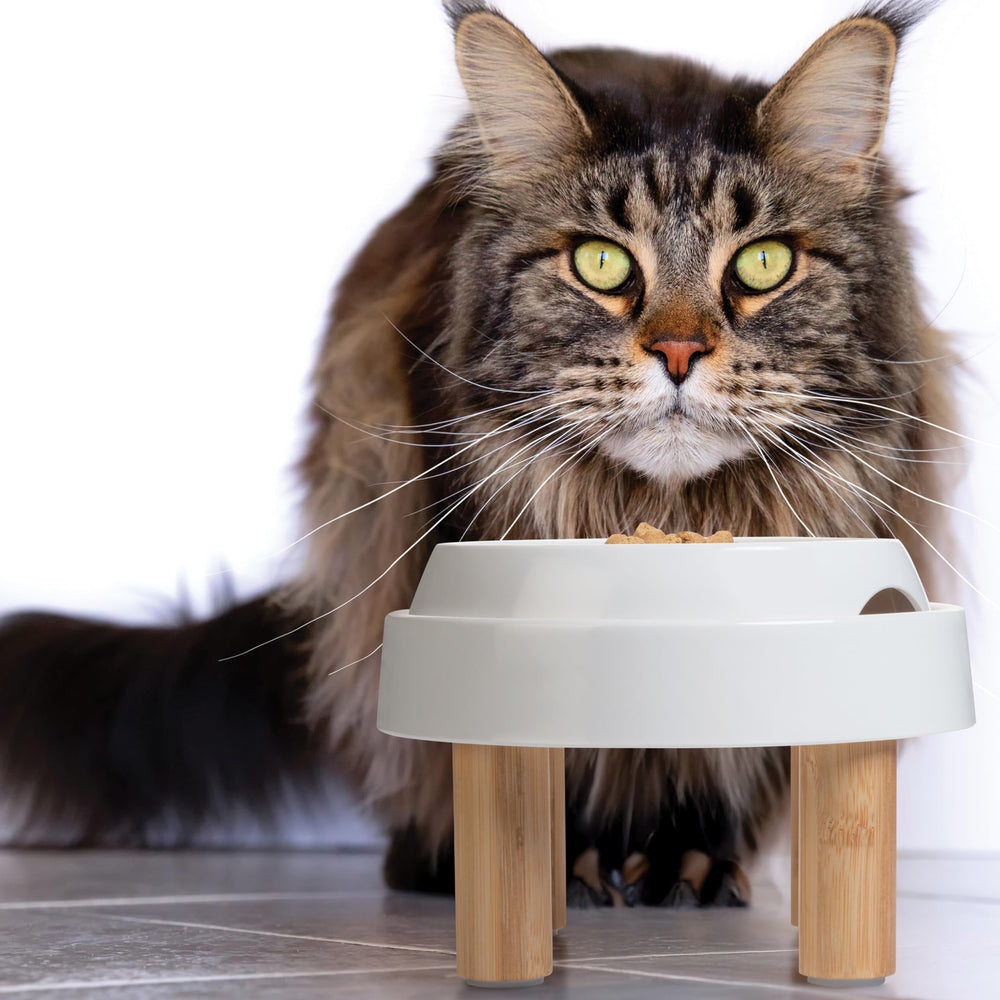 CatGuru Food Table tamaño 7.7 x 7.7 x 4.5 pulgadas para espacios pequeños.