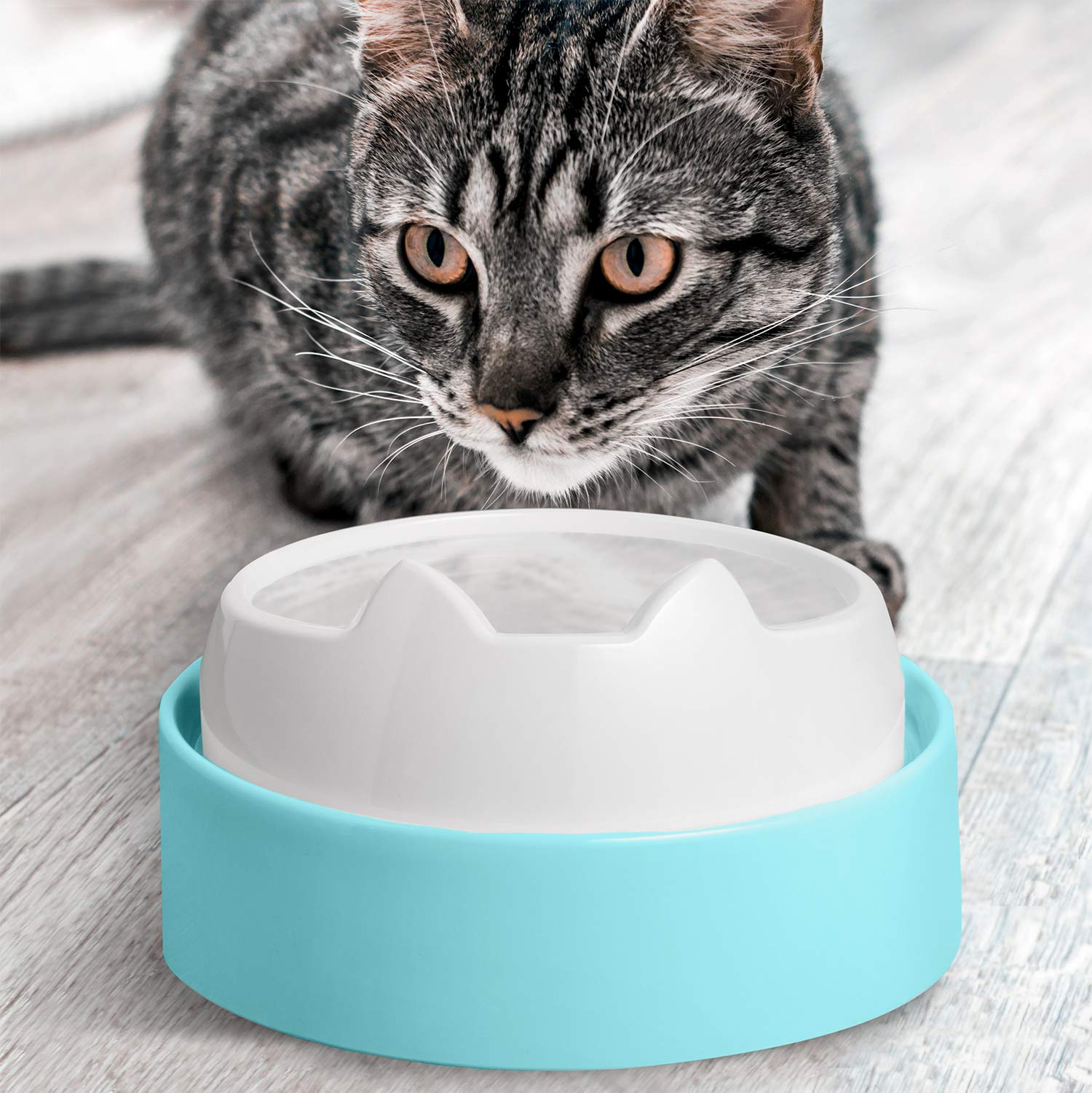 CatGuru mesa para comederos diseño estable facilita comidas tranquilas.