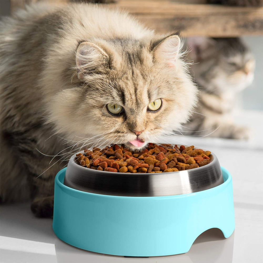 CatGuru mesa para comederos ideal para uso diario en interiores.