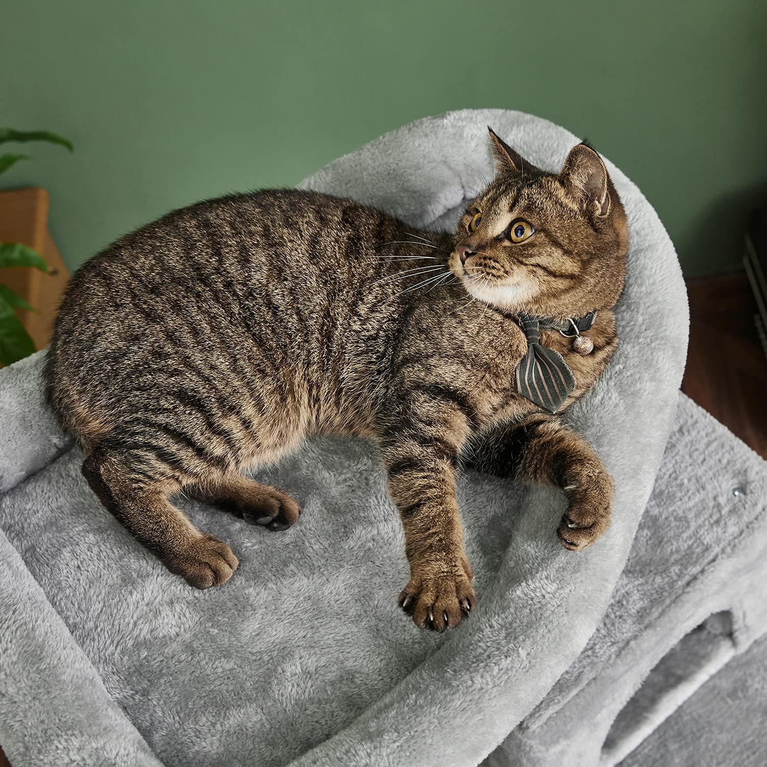 Catinsider funda percha bolsters: funda lavable para limpieza fácil.