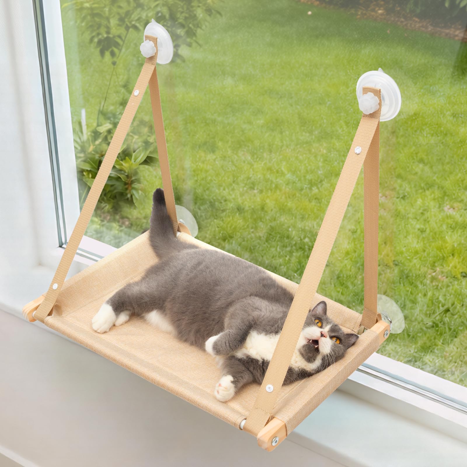 CATISM Cat Window Perch tamaño amplio para varios gatos.