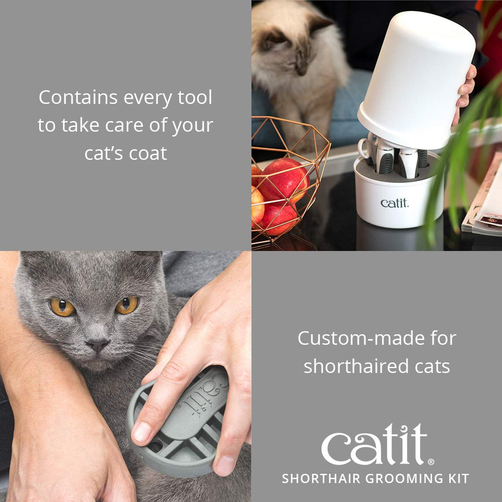 Catit Senses 2.0, cepillo palma de goma, masaje suave y brillo del pelaje.
