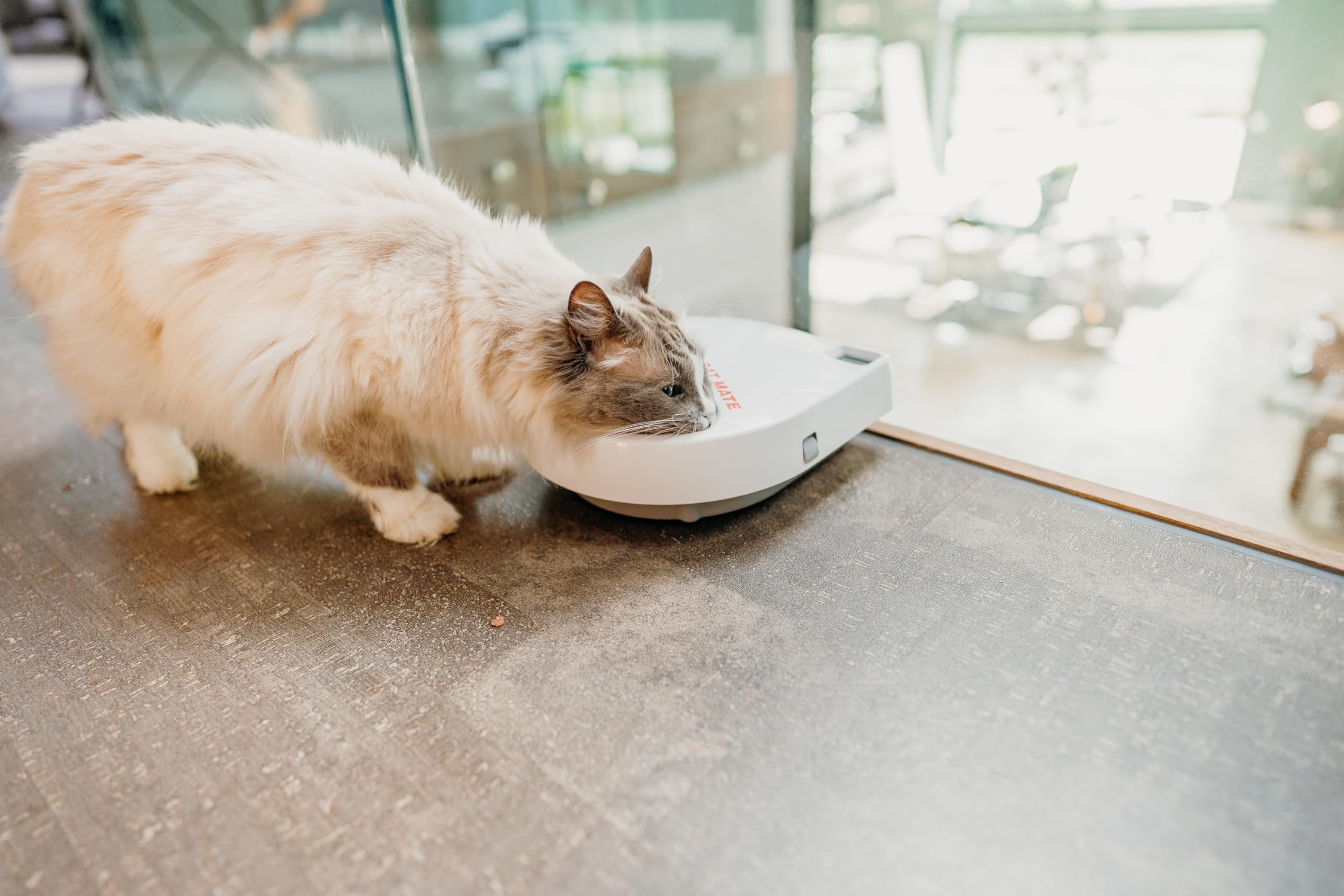 Cat Mate C300 admite alimentos húmedos y secos para mayor flexibilidad.