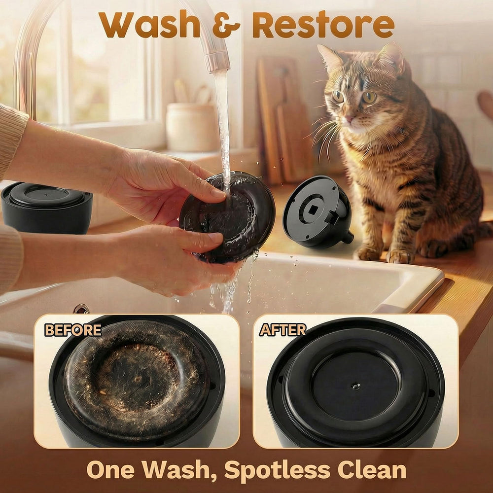 Catpick Joy ideal para gatitos y gatos adultos en casa para enriquecer su juego.