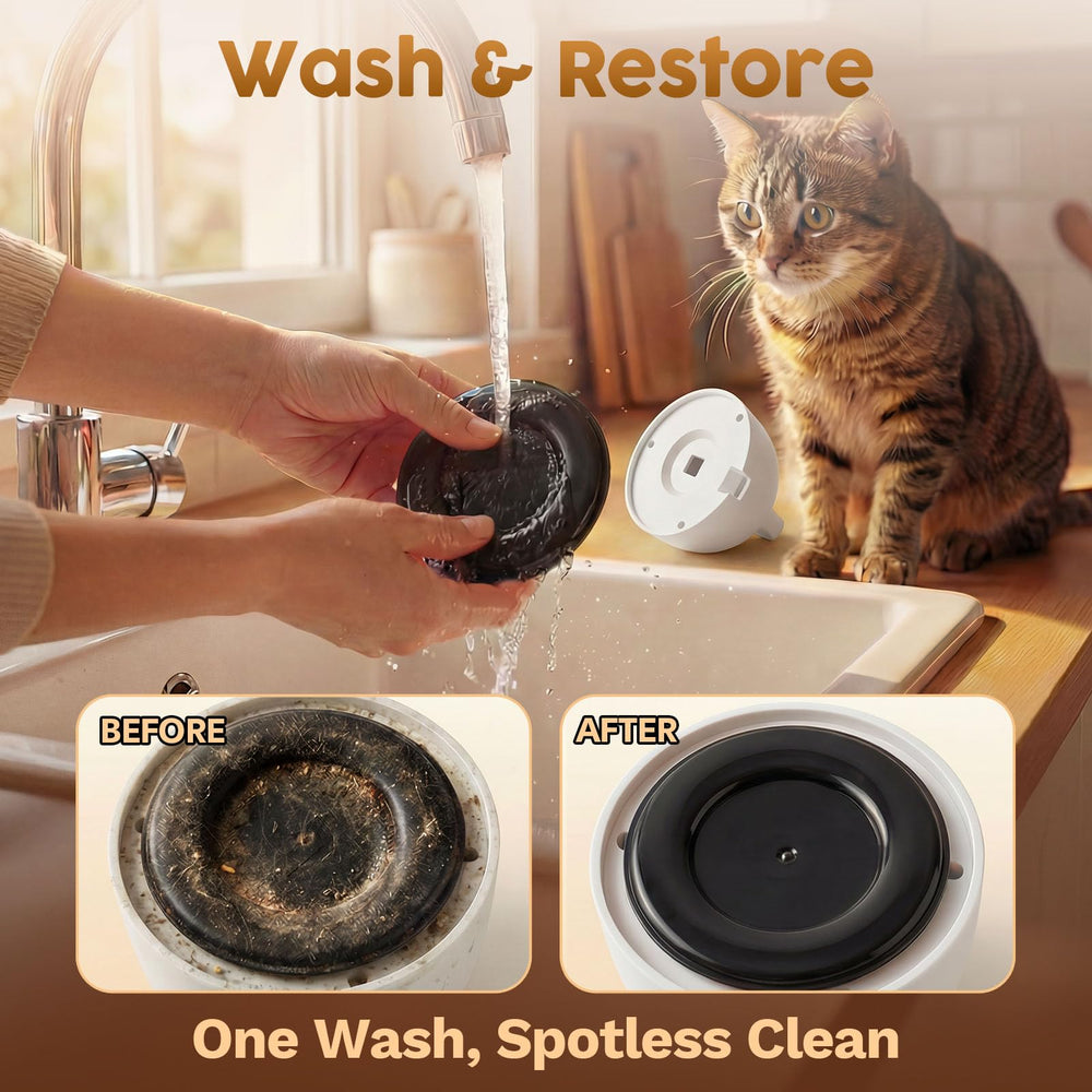 Catpick joy movimiento suave ideal para gatos mayores.