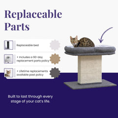 Catry Mellow: poste de sisal grande para rayado natural y ejercicio