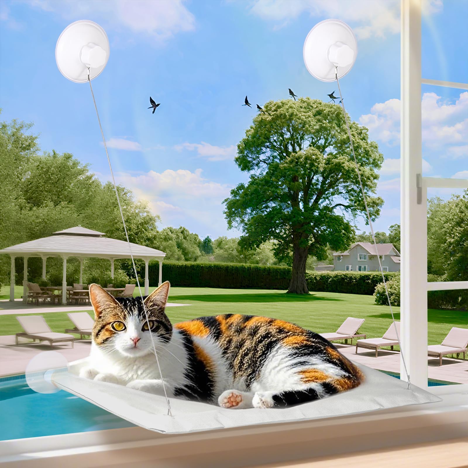 Cats Window Perch: descanso seguro junto a la ventana para momentos de relax.