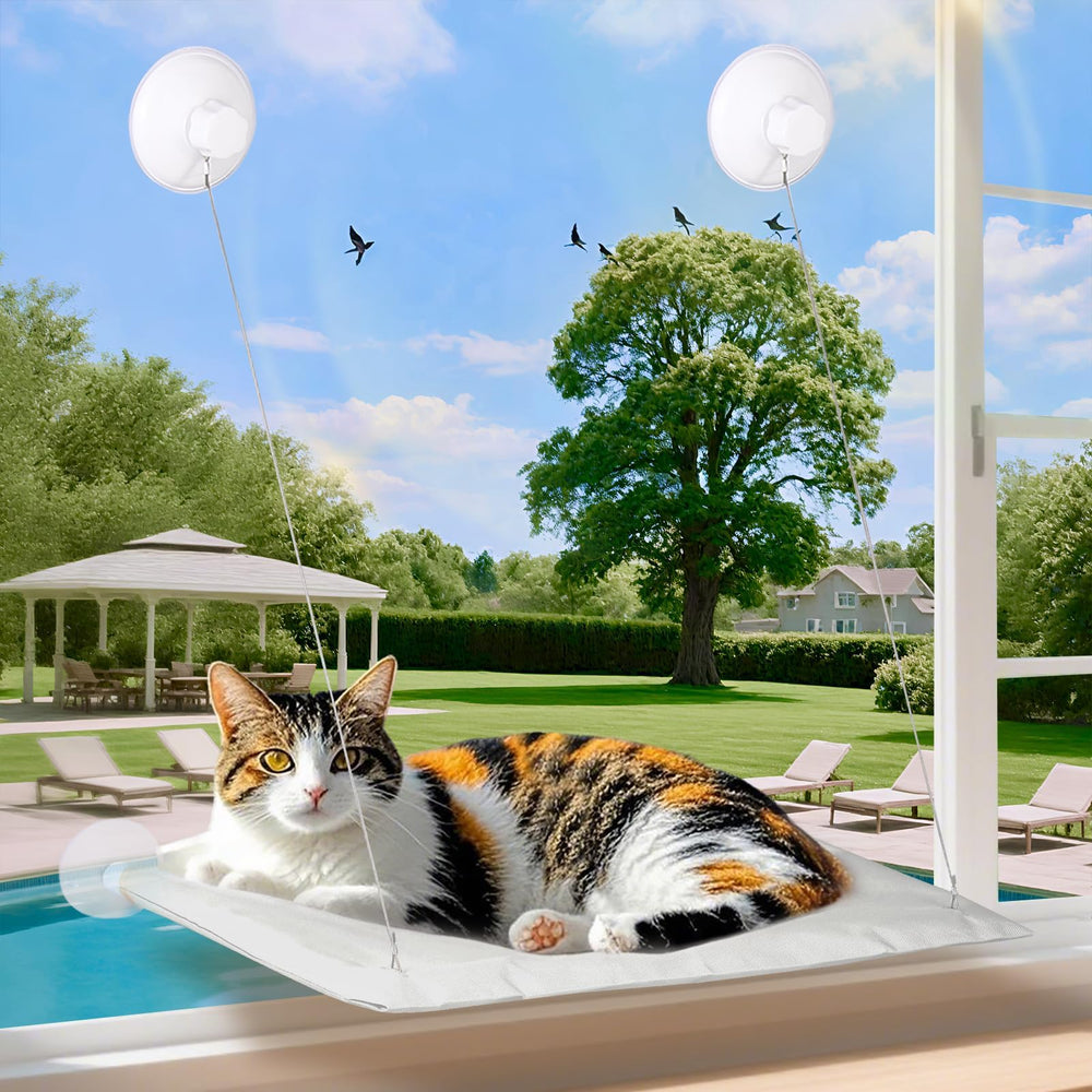 Cats Window Perch: descanso seguro junto a la ventana para momentos de relax.