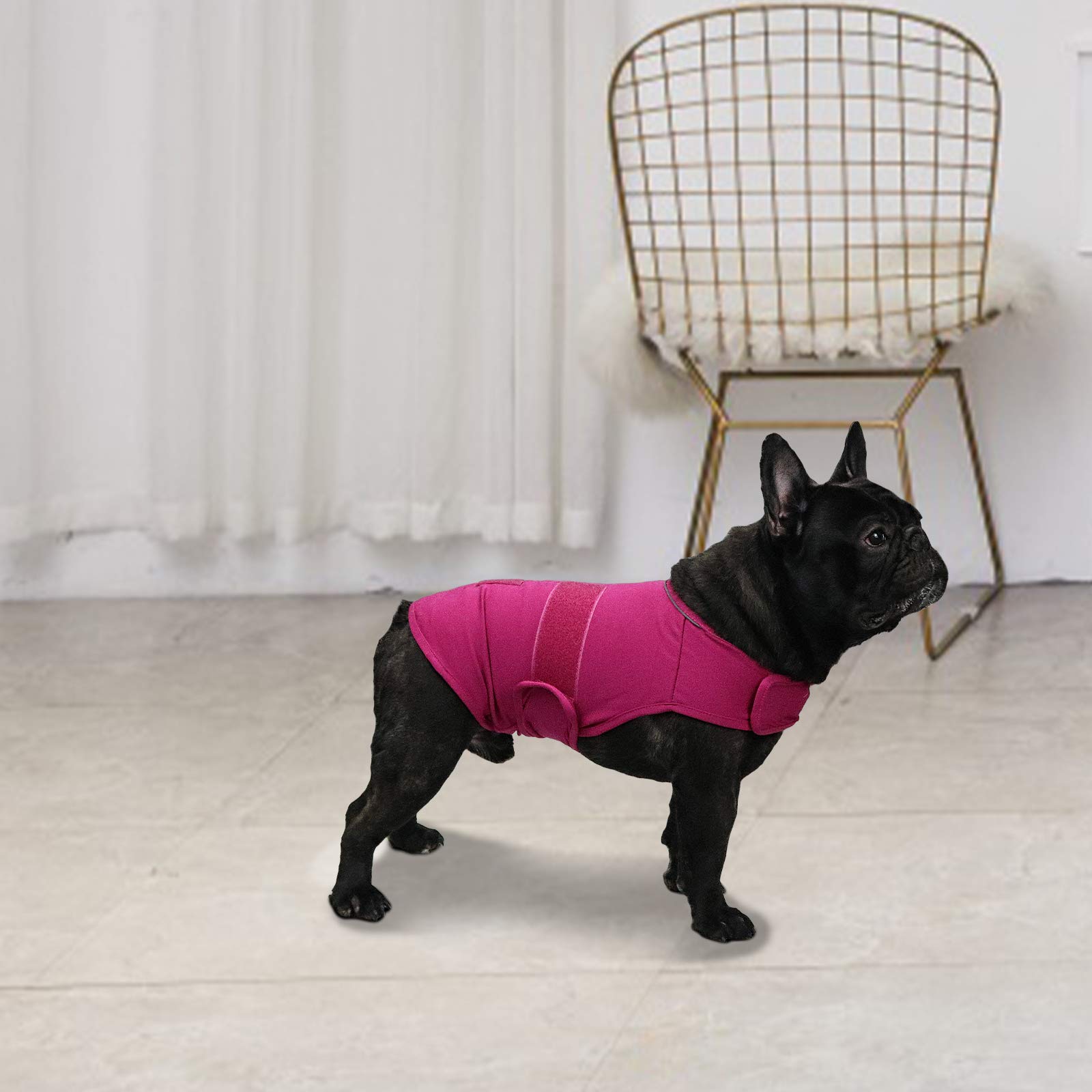 Cattamao abrigo calmante para perros, perfecto para viajes y visitas al veterinario.