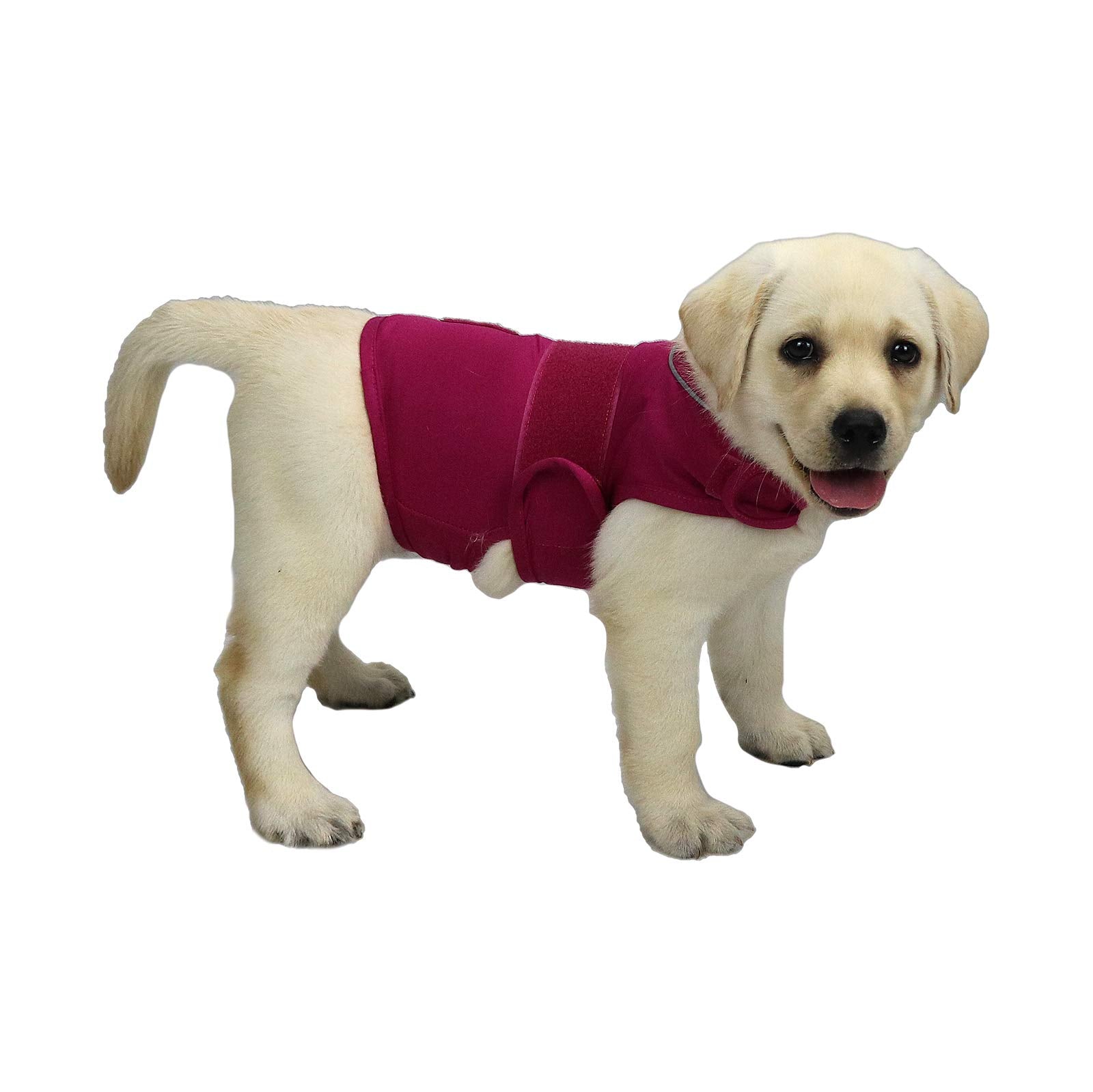 Chaqueta cattamao para aliviar ansiedad de perros durante situaciones estresantes