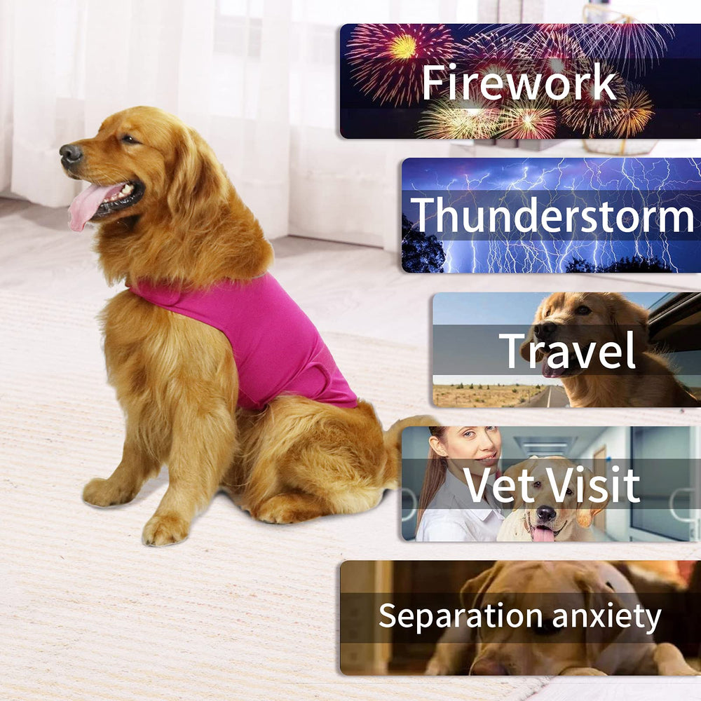 Chaqueta cattamao para viajes mantiene al perro relajado y cómodo