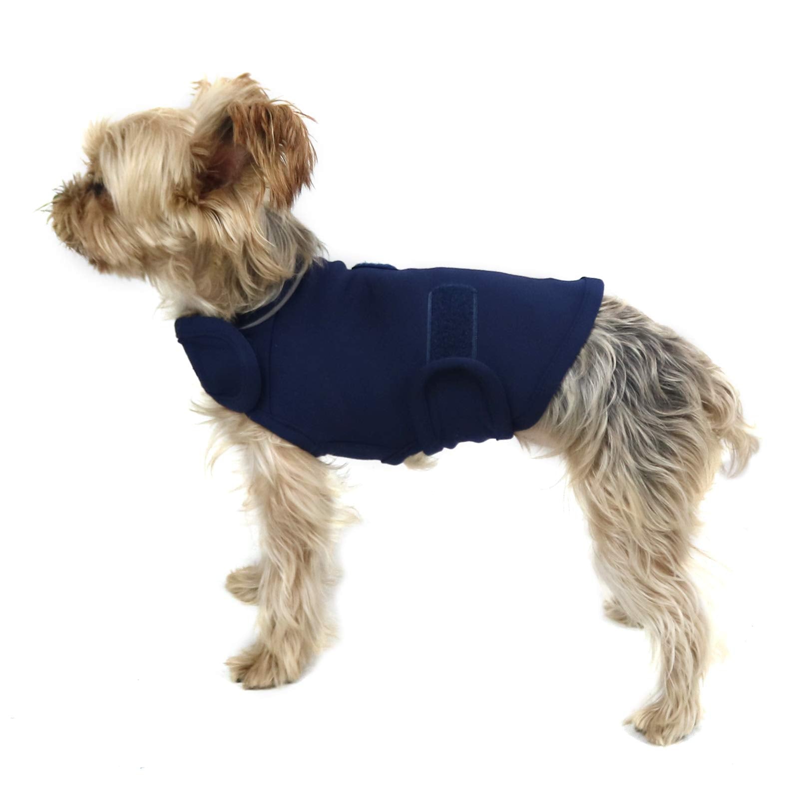 Cattamao Comfort chaqueta calmante para perros durante tormentas.