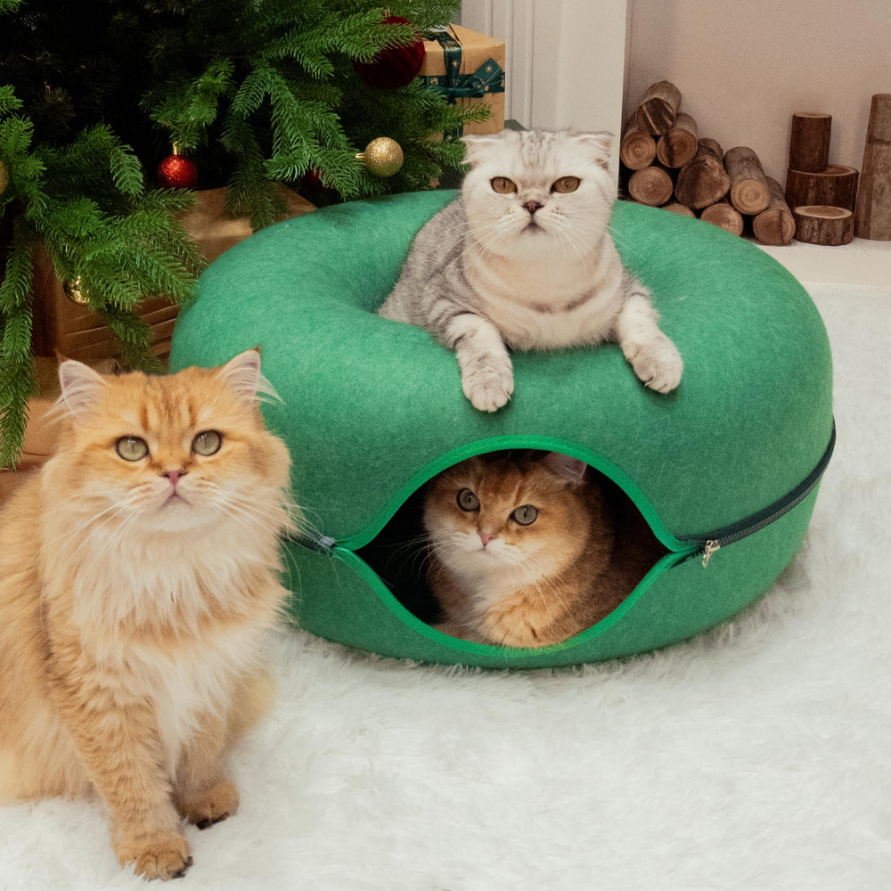 Cattasaurus Peekaboo Cama Donut Gato brinda descanso envolvente