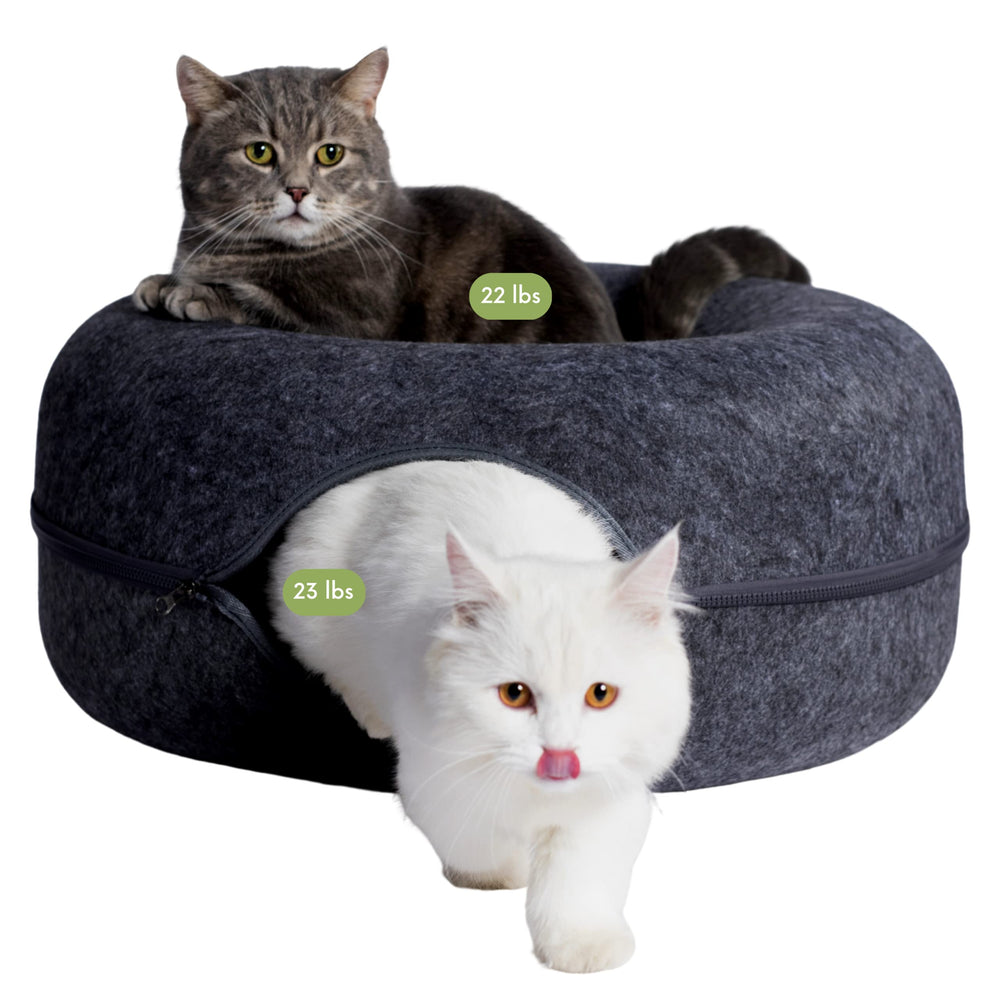 Cattasaurus Peekaboo: cueva para gatos grandes con cama dona, cómodo y espacioso.