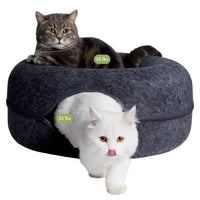 Cattasaurus Peekaboo: cueva para gatos grandes con cama dona, cómodo y espacioso.