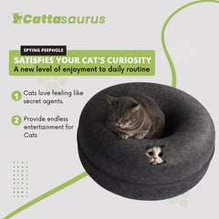 Cattasaurus Peekaboo: limpieza fácil del túnel desmontable para higiene continua.