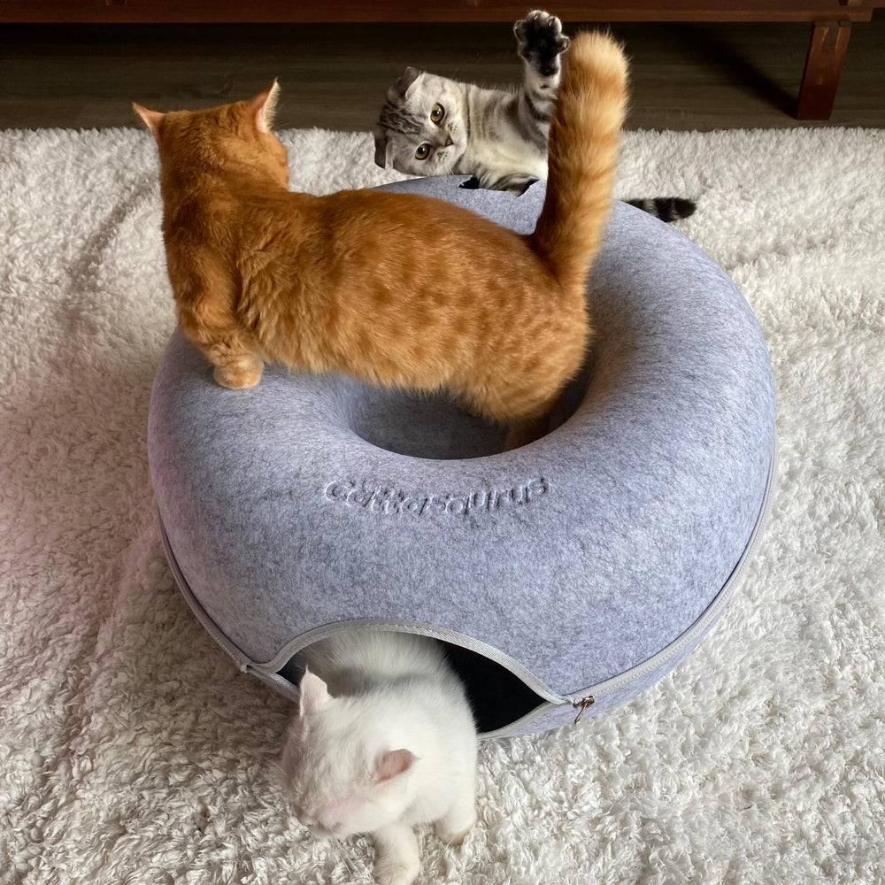 Cattasaurus Peekaboo: materiales seguros y duraderos mantienen la forma.