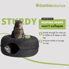 Cattasaurus Peekaboo: túnel desmontable para limpieza rápida y flexible.