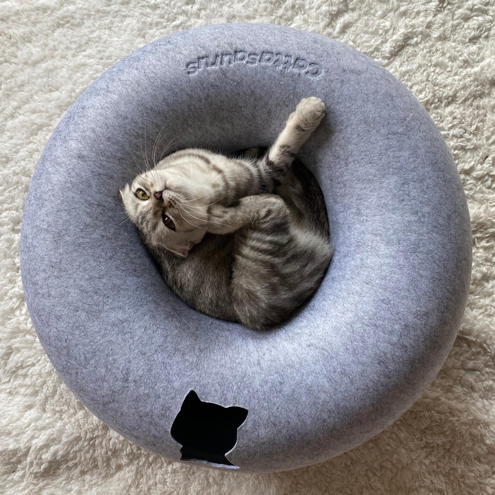 Cattasaurus Peekaboo: uso 3-en-1 para juego y descanso.