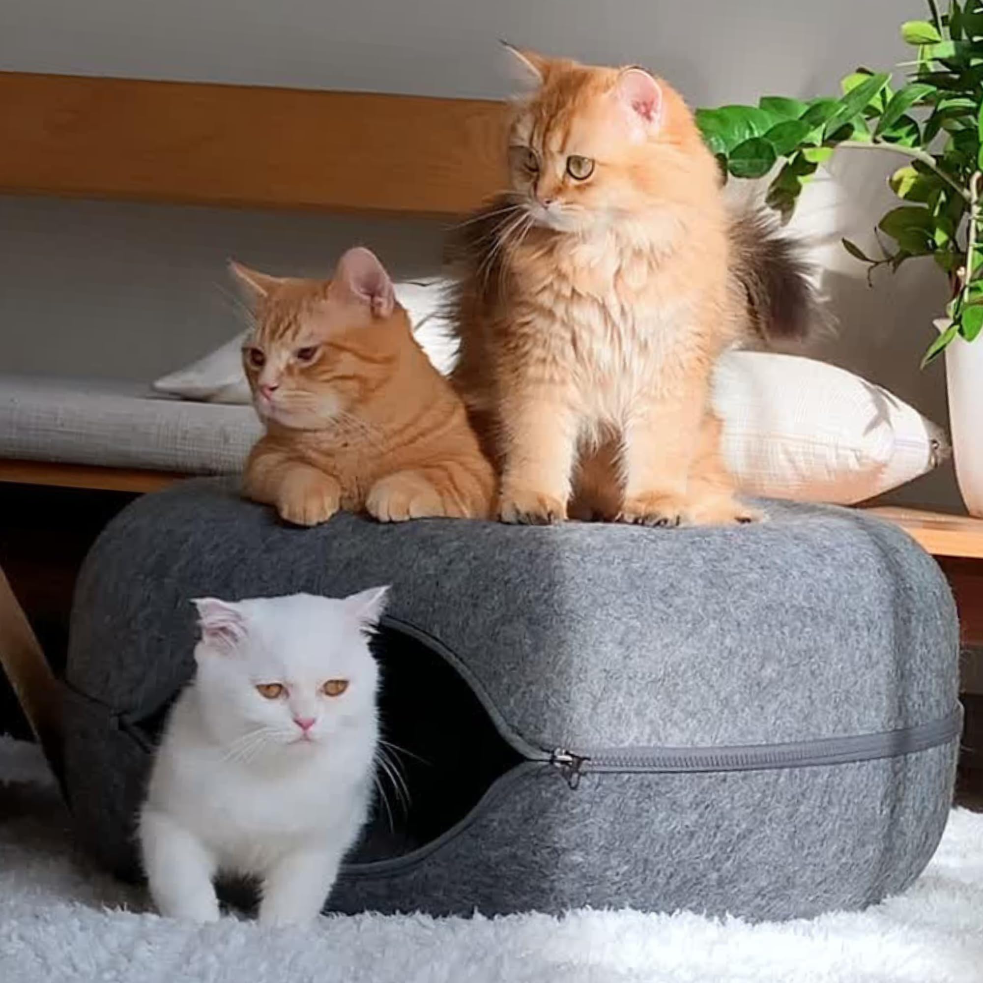 Cattasaurus Peekaboo: opción versátil para juego, descanso y convivencia en casa.