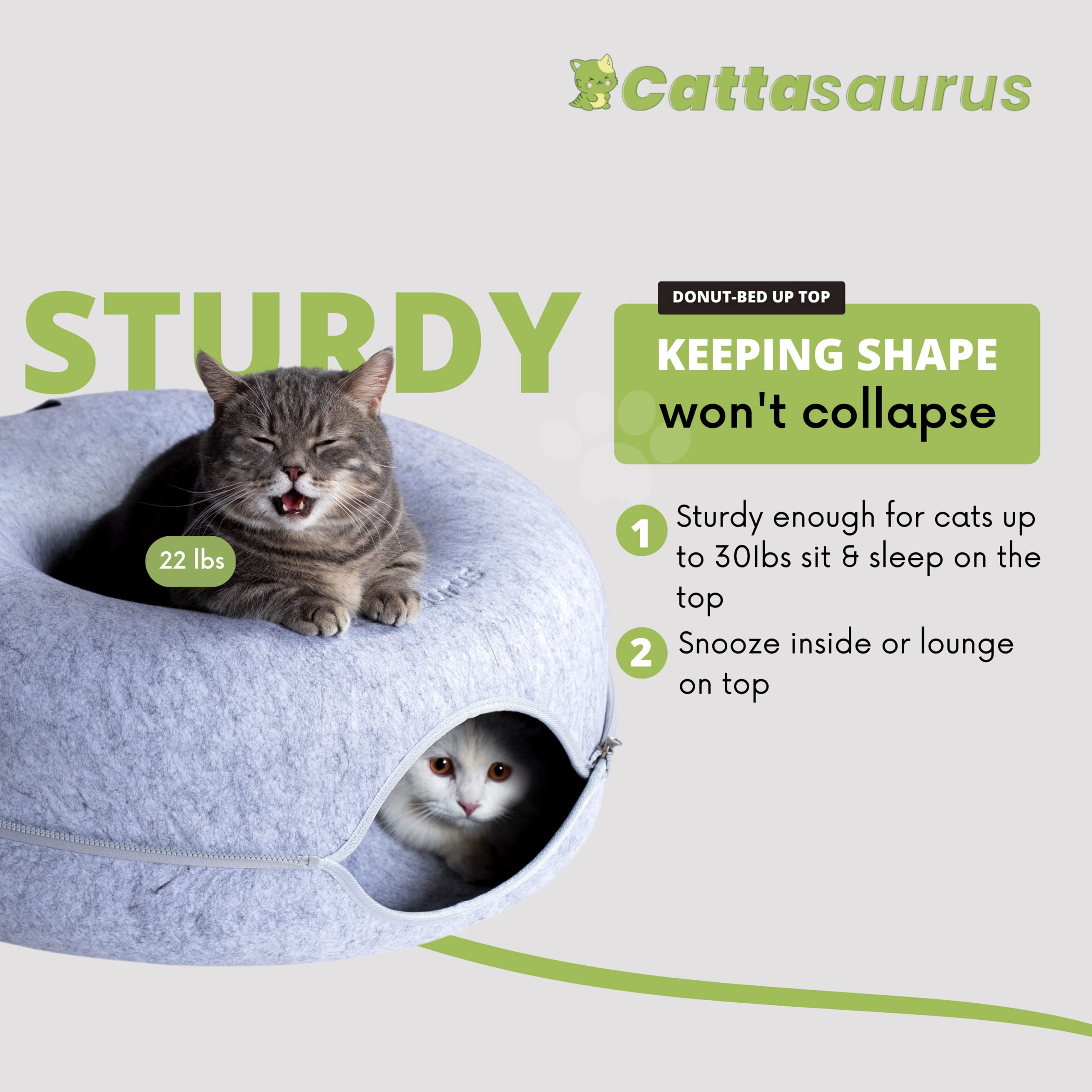 Cattasaurus Peekaboo: ventana de observación favorece interacción suave.