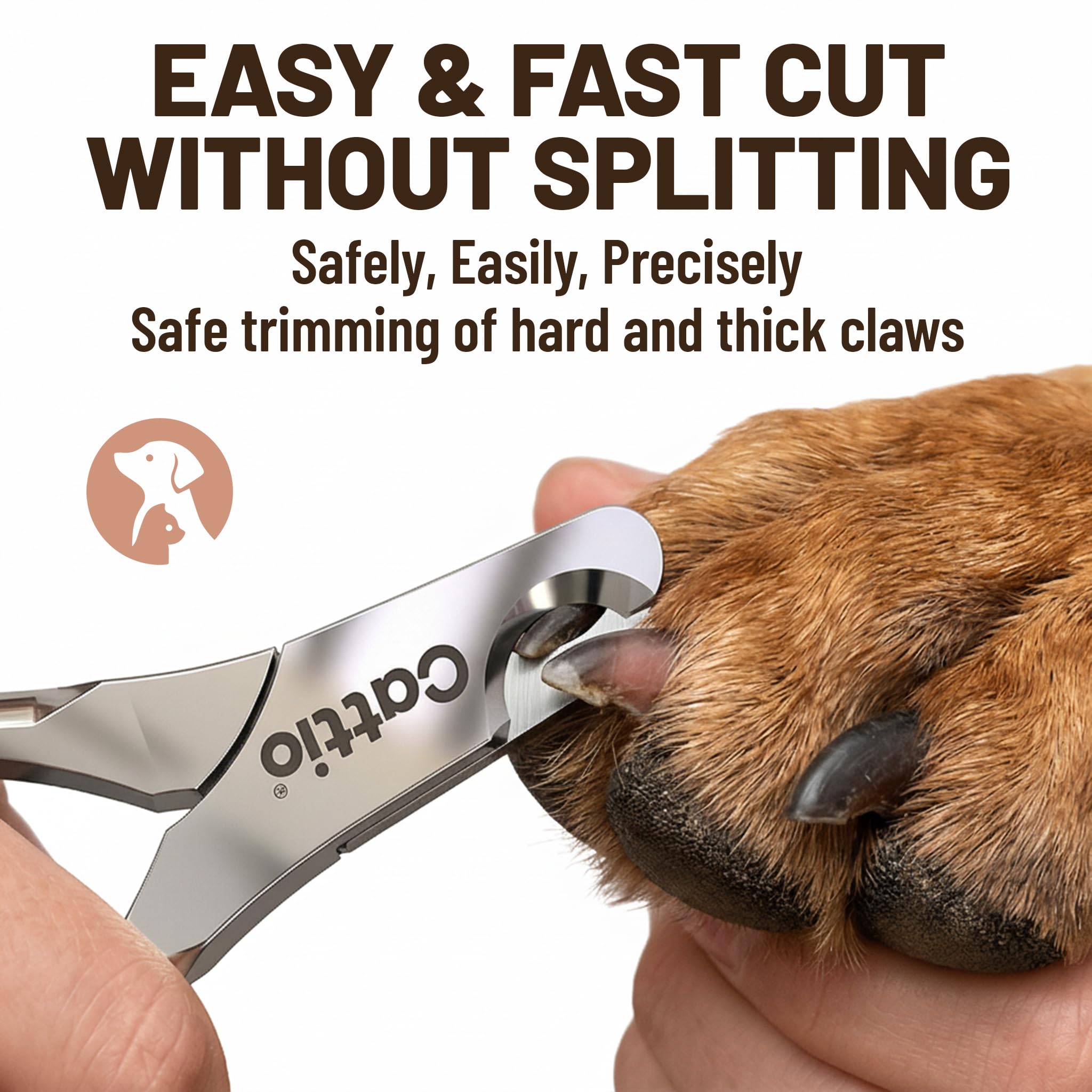 Cattio utilizado en entornos profesionales como hospitales veterinarios.
