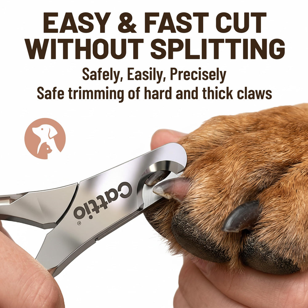 Cattio utilizado en entornos profesionales como hospitales veterinarios.