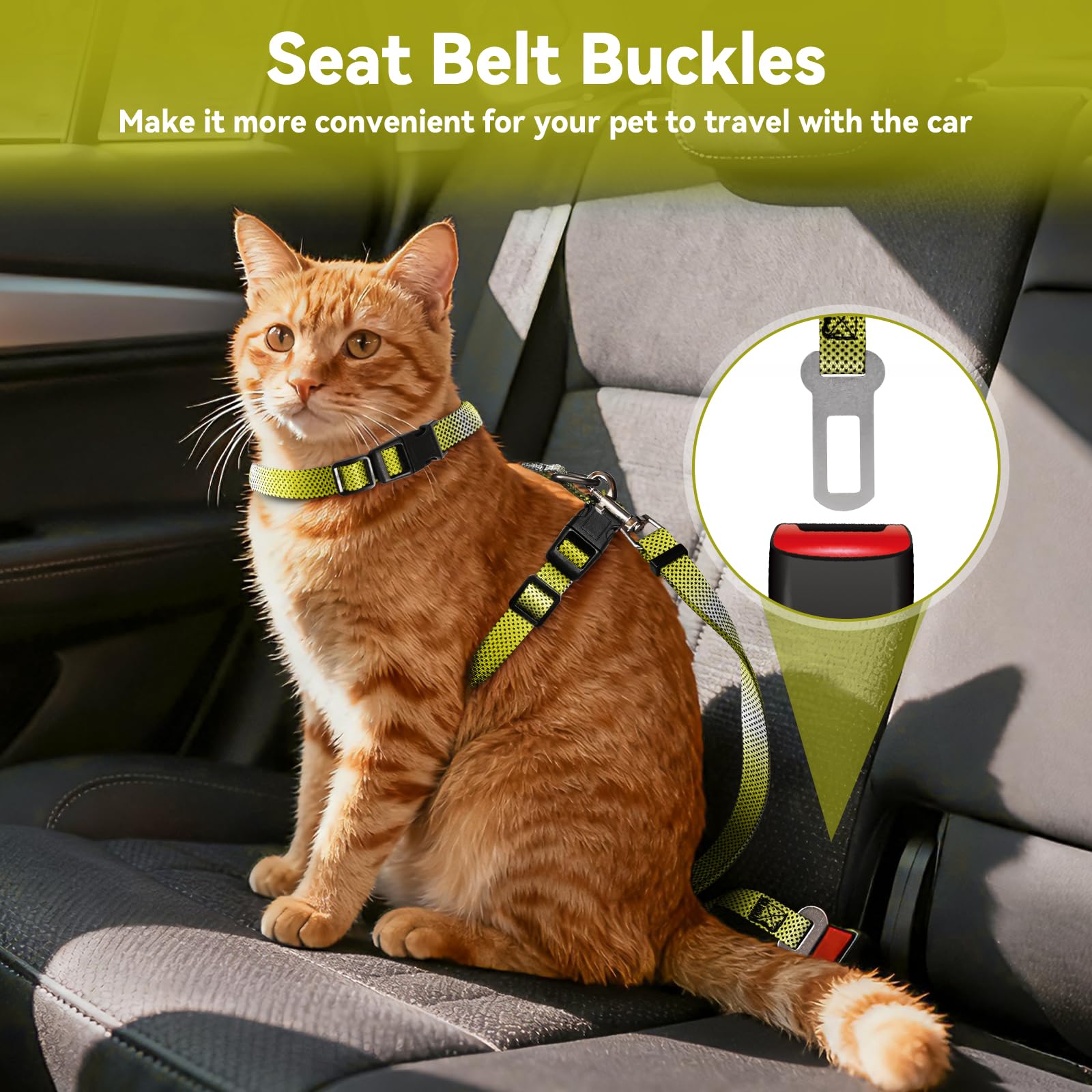 Cattooll arnés de nylon ligero y cómodo para gatos de cualquier tamaño.