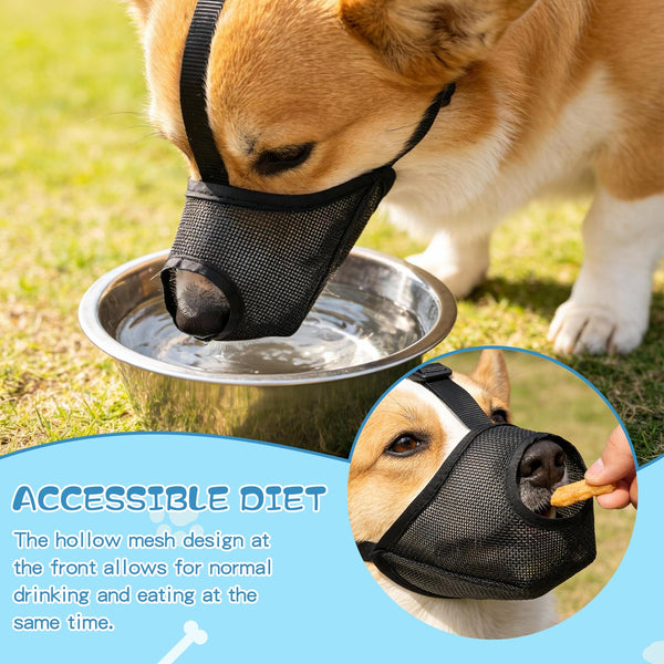 Cattooll bozal transpirable para grooming y entrenamientos cortos