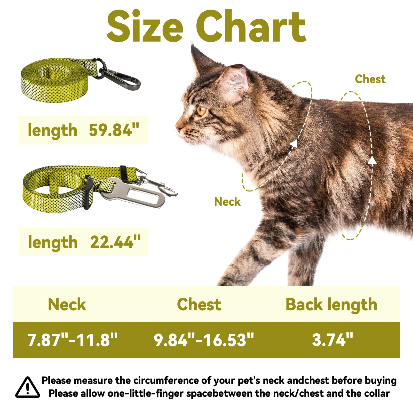 Cattooll correa de paseo con cinturón de seguridad para caminatas tranquilas.