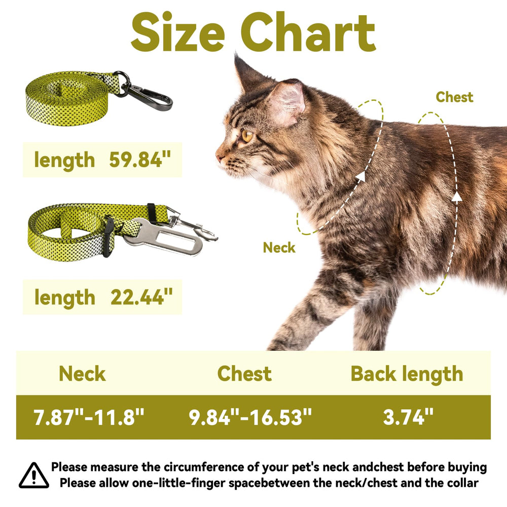 Cattooll correa de paseo con cinturón de seguridad para caminatas tranquilas.