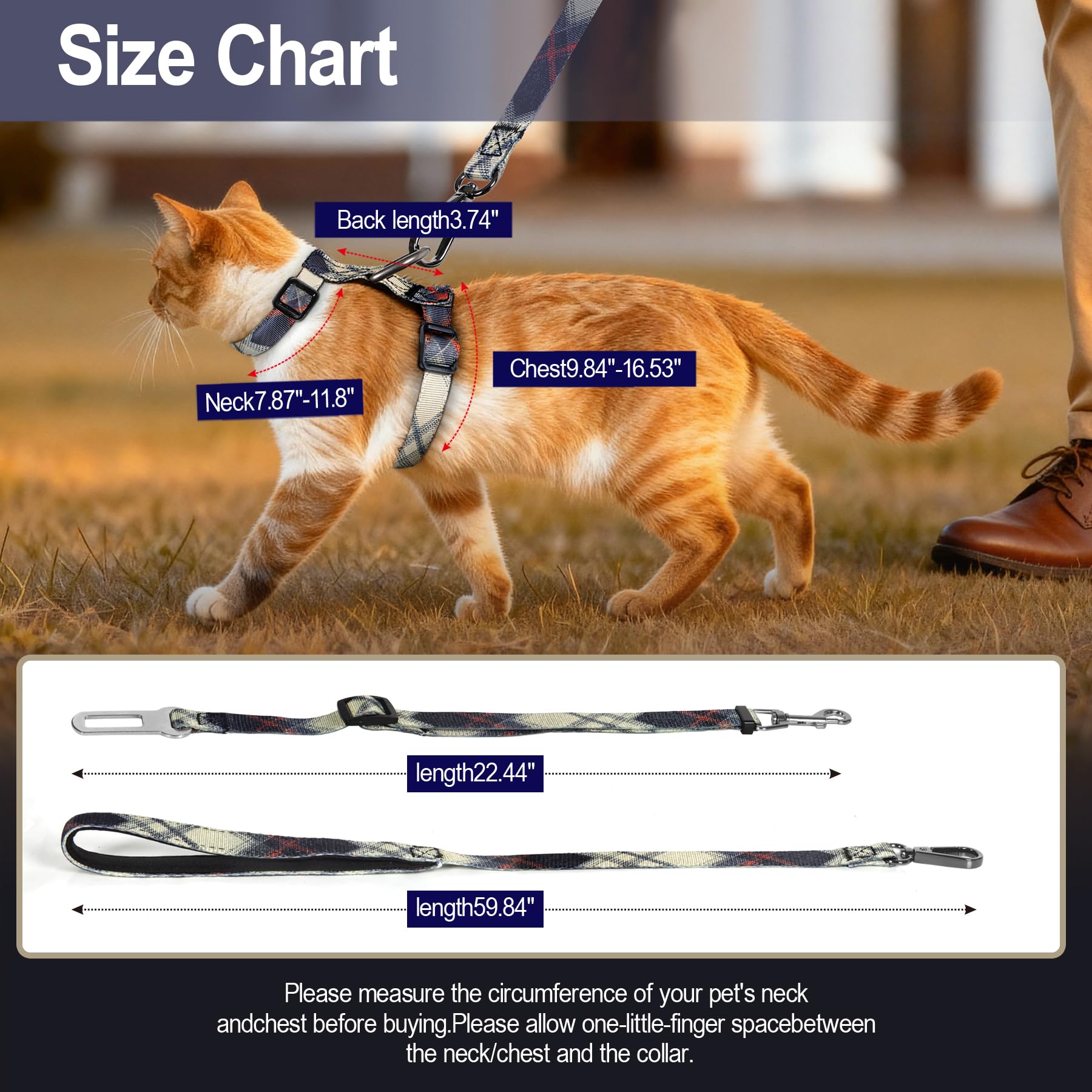 Cattooll kit-paseo-diario, opción práctica para viajes y paseos.