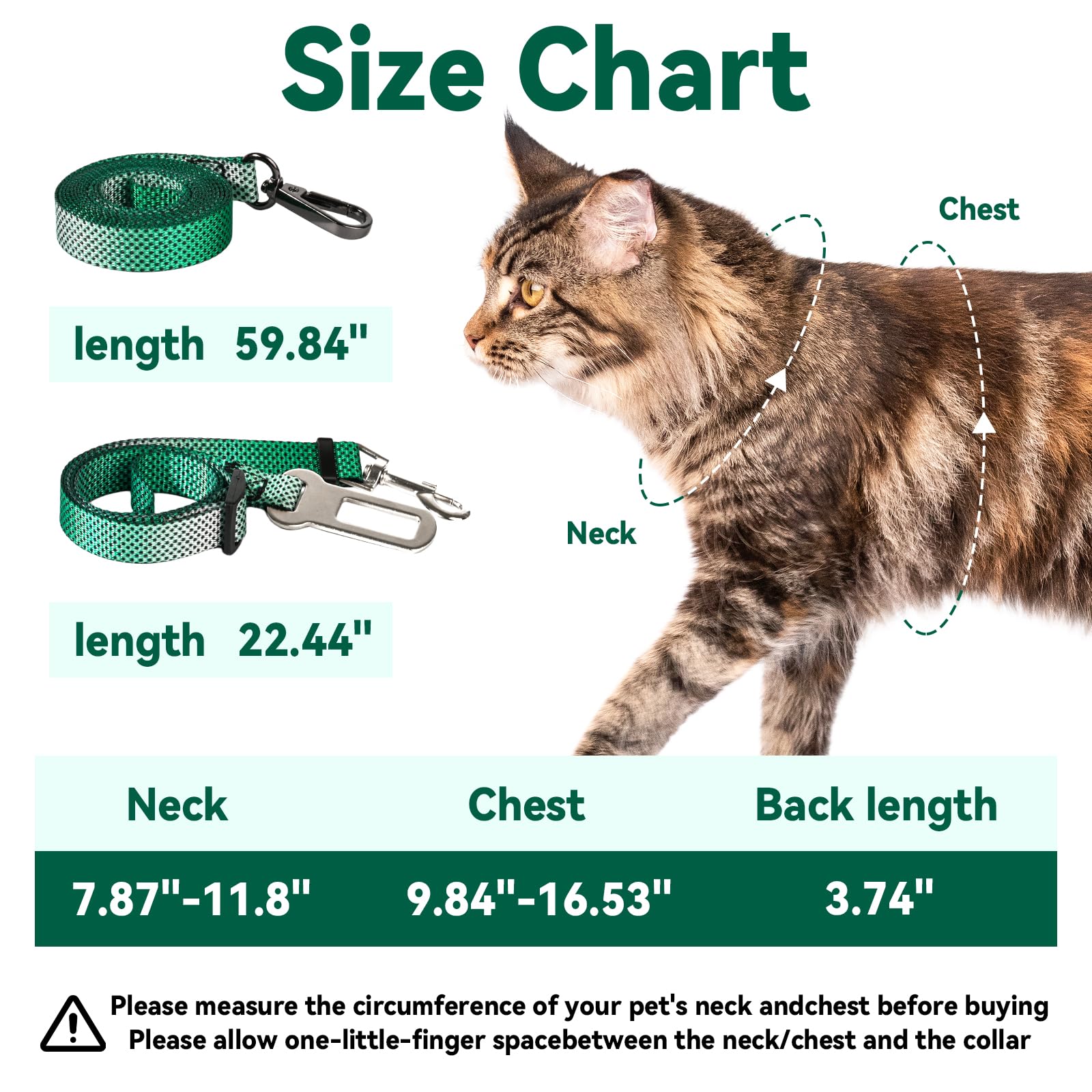 Cattooll kit de paseo para gato en verde claro, práctico y completo.