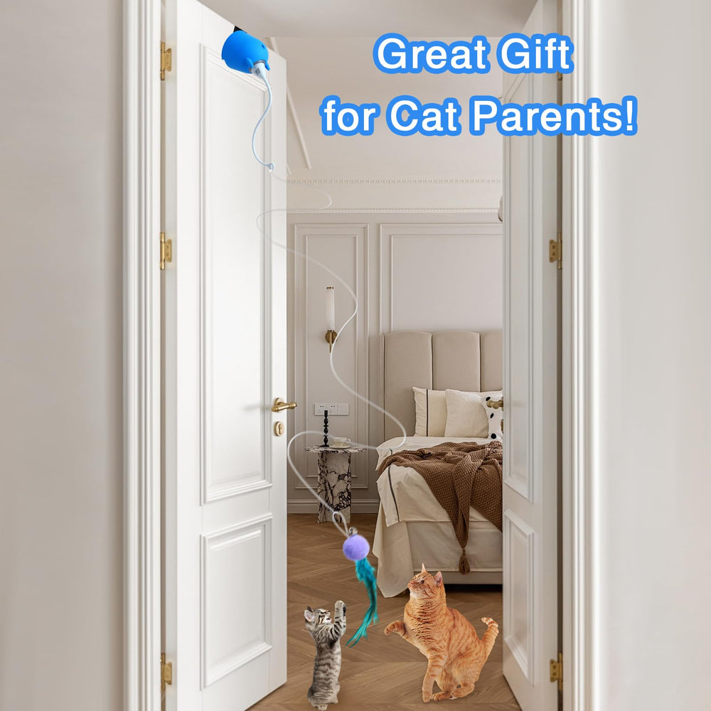 Cattoys Set completo con cable de carga y manual