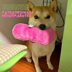 CatyiDoggi paquete-seis-juguetes-zapatilla, colores variados para mantener interés.