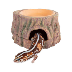 CAVACHEW cueva oculta árbol: refugio seguro para reptiles, ideal para descanso y exploración.