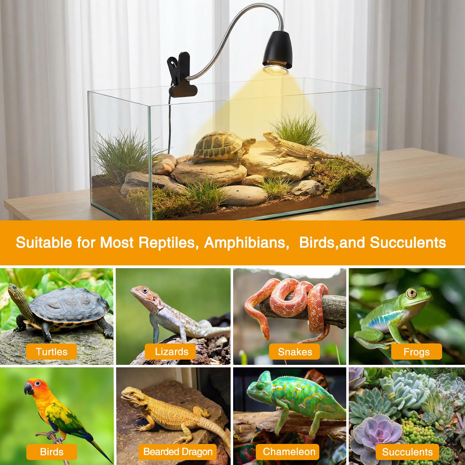 Control de temperatura y ciclo automático con Cayludg Reptil para hábitos.
