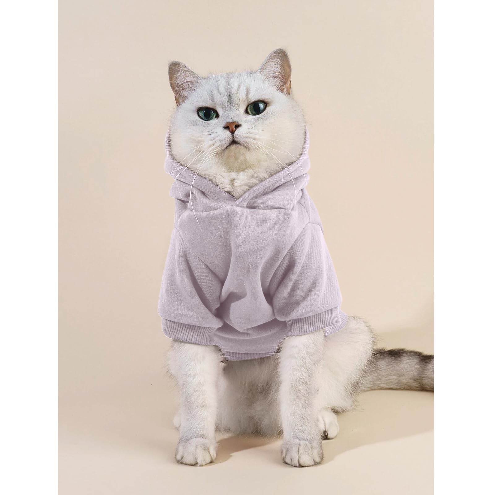 Cayxatiu estampa pequena-con-actitud en gato para estilos divertidos.