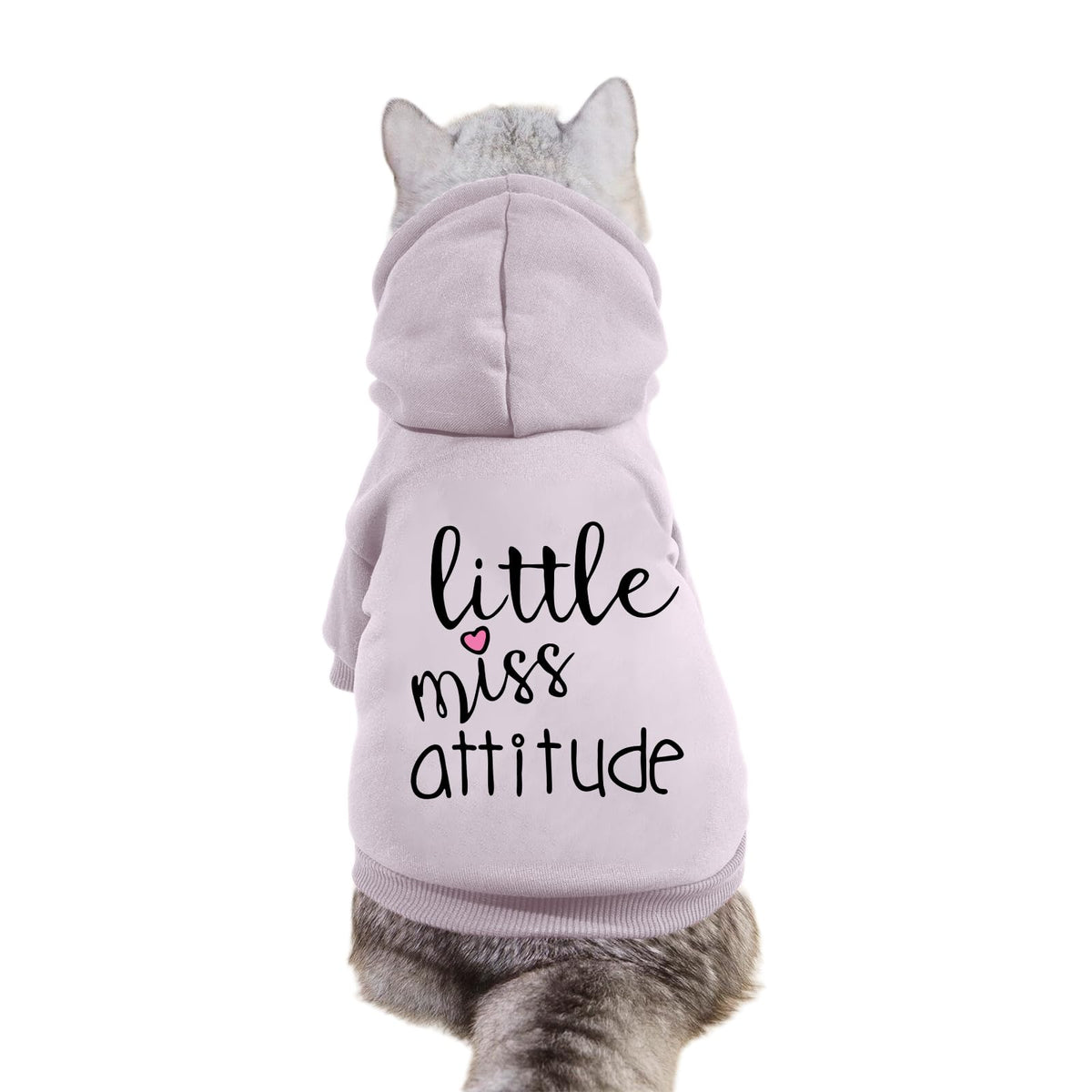 Cayxatiu sudadera con capucha para gato morado, suave y cálida para días fríos.