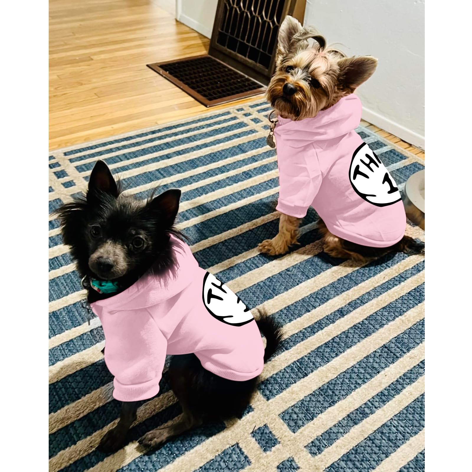 Cayxatiu sudadera para perros, impresión frontal; estilo divertido para salir a caminar.