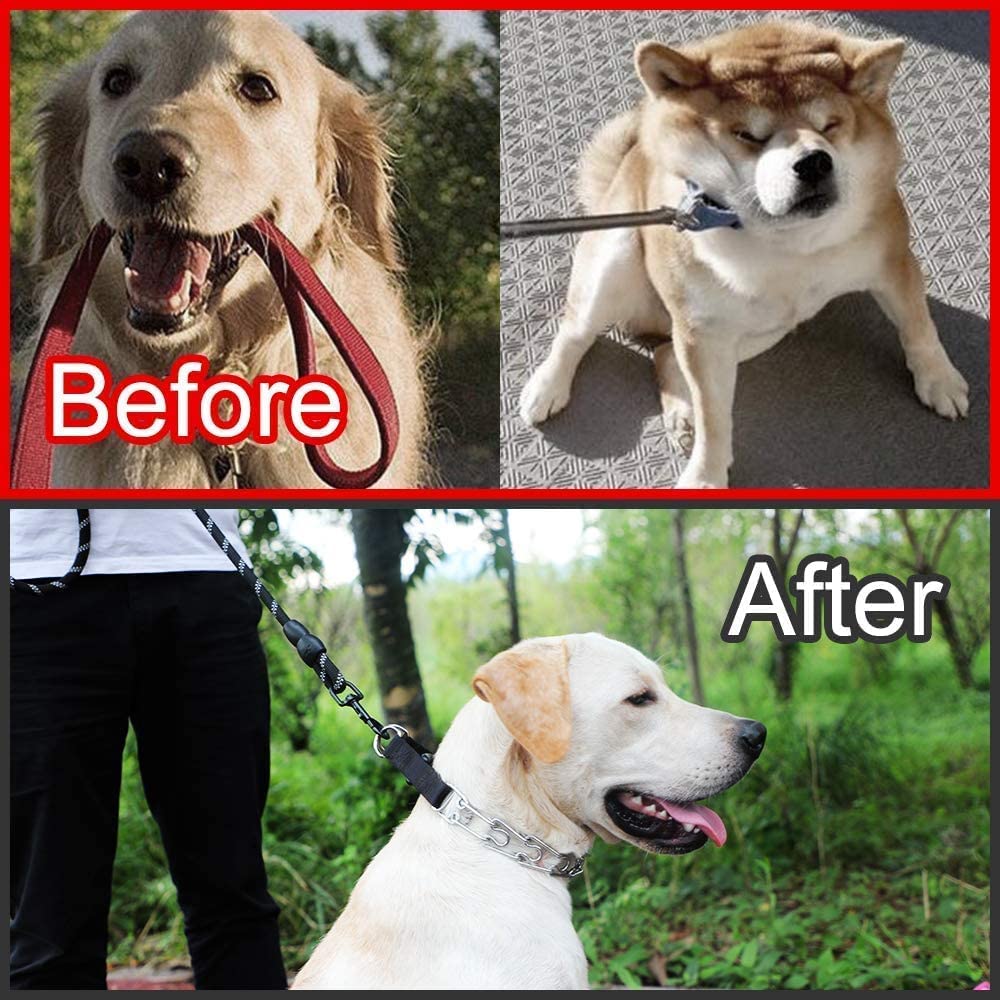 Collar de púas CBBPET, resistente y seguro para uso diario.