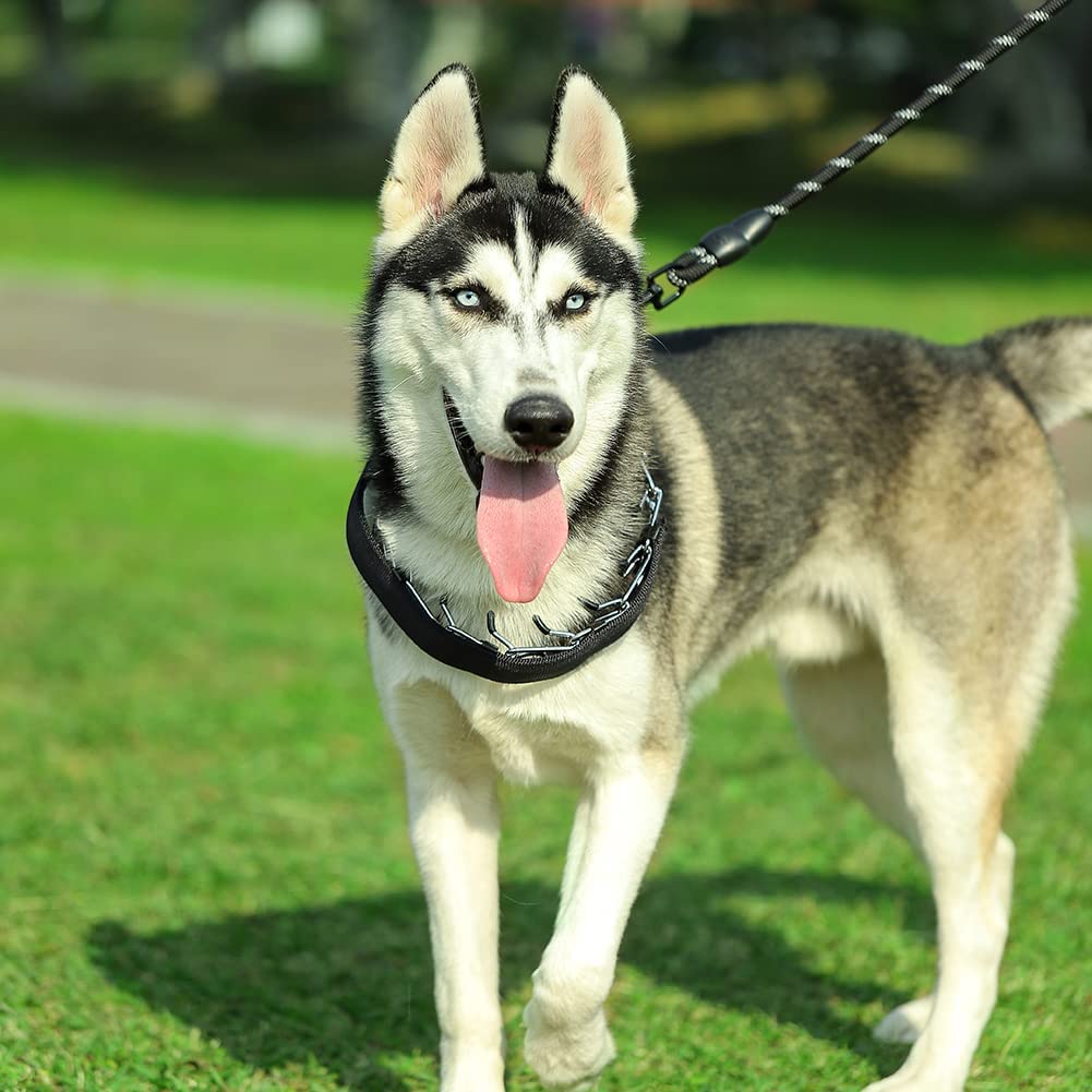 Entrenamiento controlado con collar de púas CBBPET para perros.