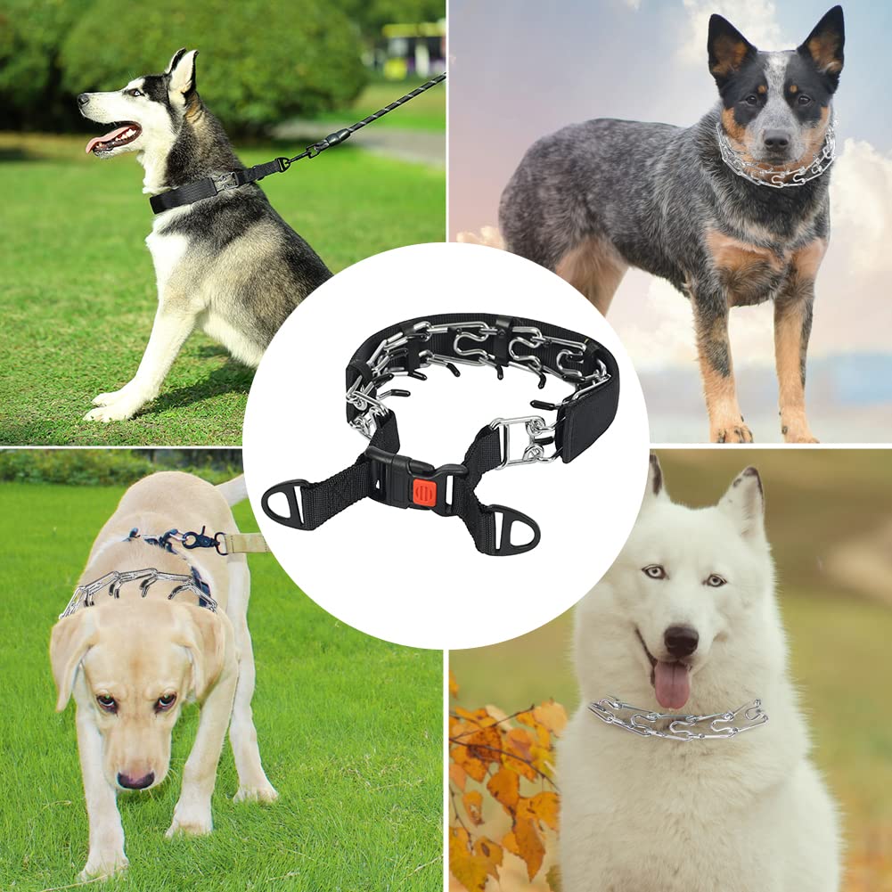 Tamaños completos CBBPET para perros pequeños a grandes.