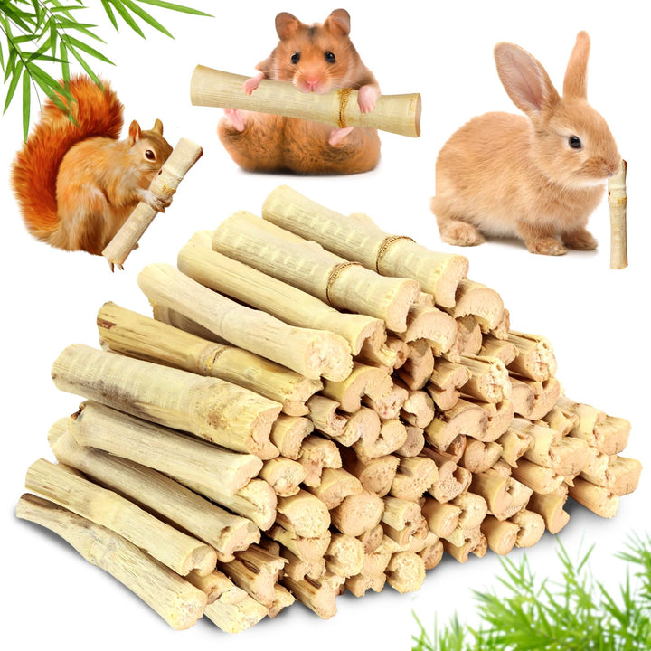 CCatswan palitos de bambú dentales de 10 cm para conejos, fomentan masticación saludable