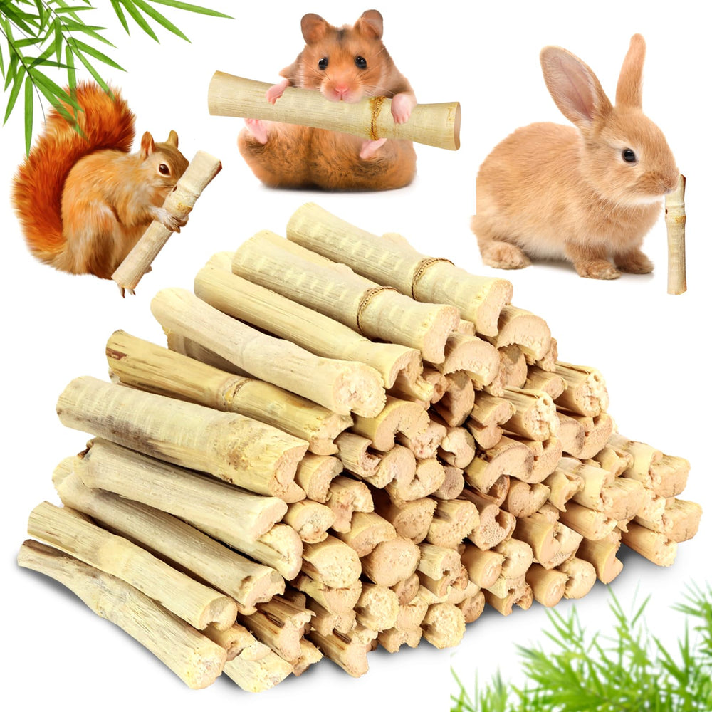 CCatswan palitos de bambú dentales de 10 cm para conejos, fomentan masticación saludable