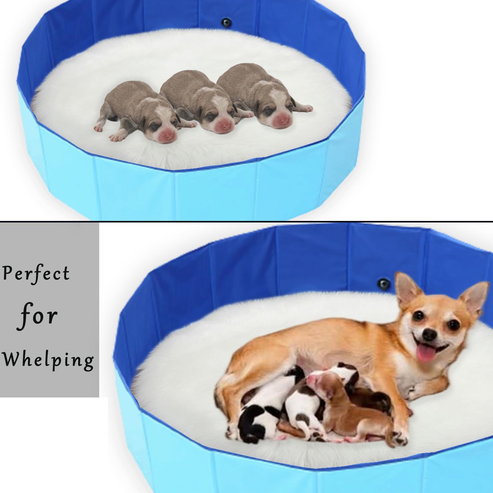 Cdycam piscina para perros drenaje integrado, vaciado rápido y limpieza sencilla.