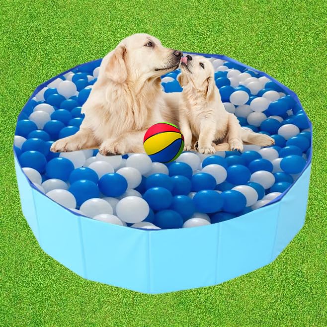 Cdycam piscina para perros externa: perfecta para playa, parque o jardín.